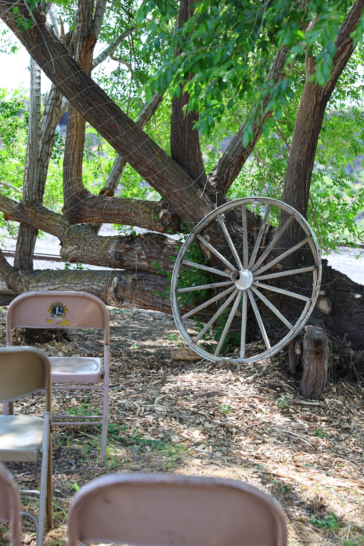 Wagon wheel under trees near the venue.